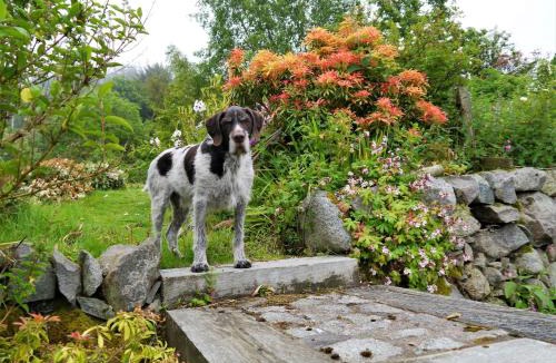 Kippford House | Phoenix Cottage