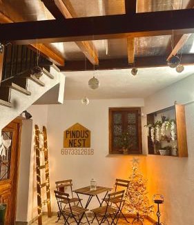 Metsovo Apartment | Pindus Nest