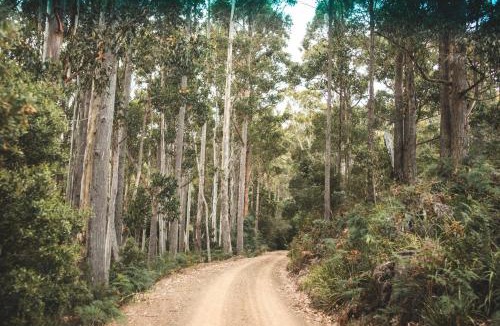 Ellendale House | Pine Edge Heights by Tiny Away