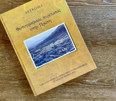 Amphipolis Villa | Plane Tree House