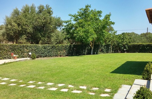 Tsilivi Apartment | Private Apartments in 6500m2 Fenced Off Green Olive Groove 200m away from beach