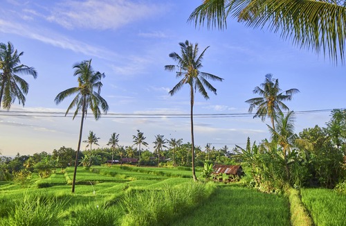 Sukasada House | Pure nature between waterfalls and rice fields