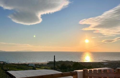 Naxos House | Pytilia