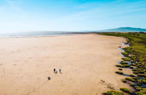 Annan Other | Queensberry Bay Essential Clover Caravan Pet