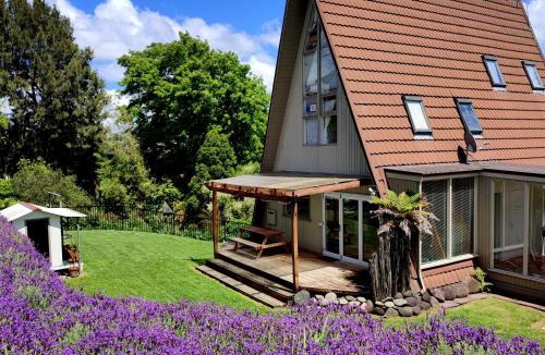 Hamilton Ski Chalet | Reasons Eco Lodge the Wooden A Frame in Hamilton