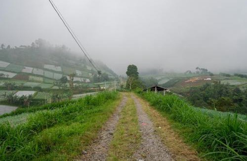 Hargomulyo Hotel | RedDoorz near Candi Cetho Karanganyar