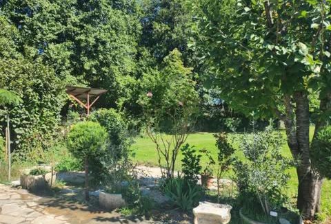 Kastoria Villa | River side house