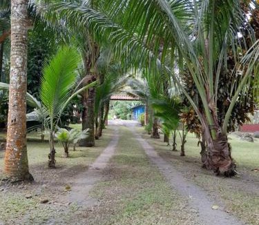 Guapiles House | Riverside Oasis Cabin with A C