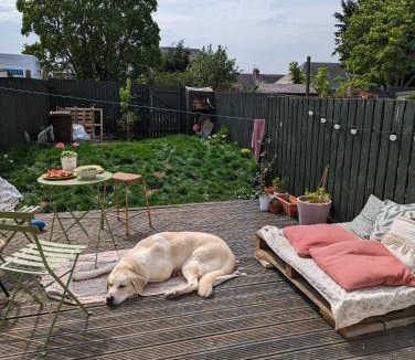 Musselburgh House | Room for Dogs lovers