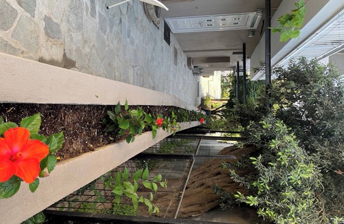Limenaria House | Room in Studio - Beautiful Room for 3 People in Limenaria, Only Five Minutes Away From Center