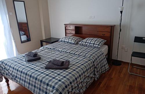 Neos Kosmos House | Rooms in the apartment (Leontiou)