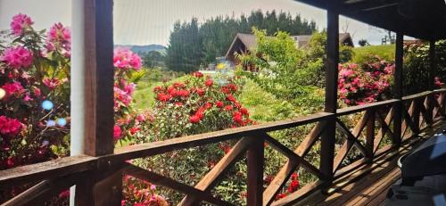 Rotorua District House | Rough Meadows - MTB Haven & Good Vibes Retreat