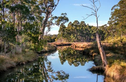 South Bruny House | Saintys Creek Cottage