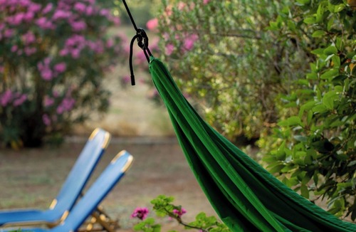 Vasilikos Cottage | Self catered Daphnes cottage #4 with large veranda and garden near the beach.