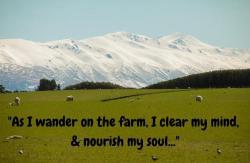 Coal Stream House | Shearvue Farmstay with Optional Free Farm Experience at 5pm