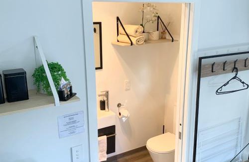 Franz Josef Glacier Apartment | Six Kamahi Guest Studio