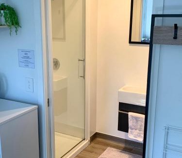Franz Josef Glacier Apartment | Six Kamahi Guest Studio