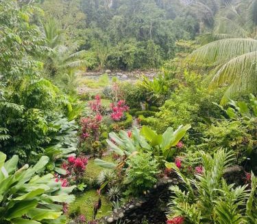 Ballena Villa | Sloth Premium Riverfront Jungle Villa with Jacuzzi and Pool