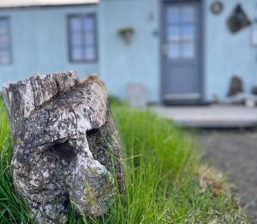 Skutustadir Villa | Slow Travel Mývatn - Óli's Homestay-Private house v
