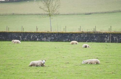 Abernyte House | Snowdrop Lodge