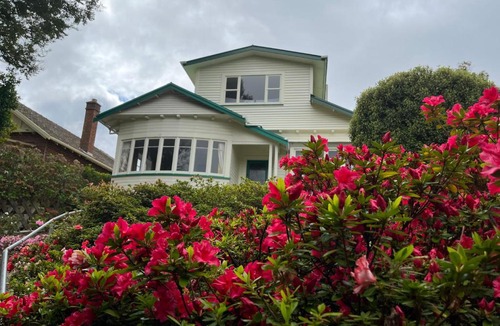 Dunedin House | Spacious comfortable character House -Maori Hill