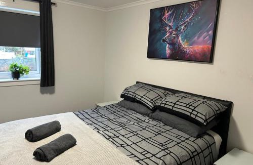 Greenock Apartment | Spacious two bedroom apartment, entire place