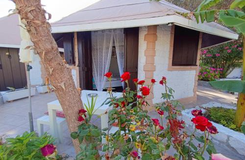 Minia Apartment | Spasmata Village Marios bungalows only adults