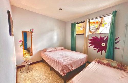 San Jose Hostel | Stray Cat Hostel