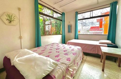 San Jose Hostel | Stray Cat Hostel
