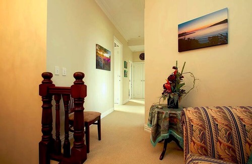 Hamilton Cabin | Stunning Countryside Getaway in Hamilton, North Island