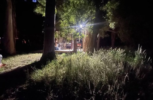 Camena Cabin | Take a break and unwind in this peaceful and relaxing bush setting n