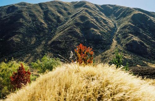 Ben Ohau Apartment | Te Manahuna Retreat