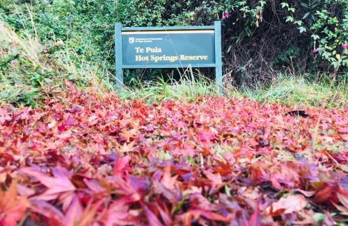 Te Puia Hotel | Te Puia Hot Springs Hotel