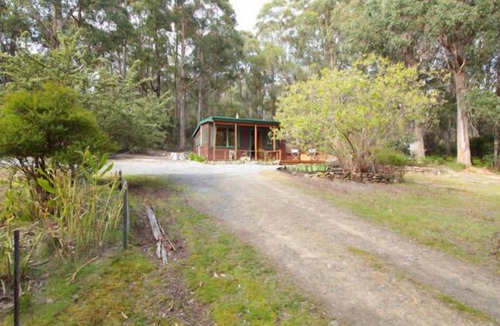 Flowerpot Cabin | The Cabin-Wake up to the sound of native birdlife.