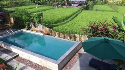 Banjartegehe House | The Champuhan Villa - Honeymoon Villa With Rice Field View