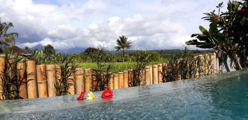 Banjartegehe House | The Champuhan Villa - Honeymoon Villa With Rice Field View