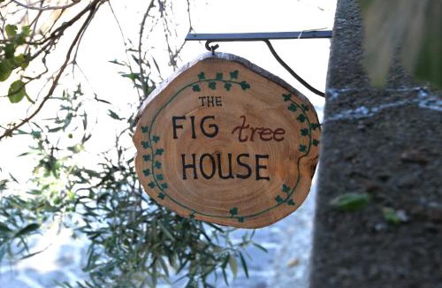 Samothrace House | The fig tree house