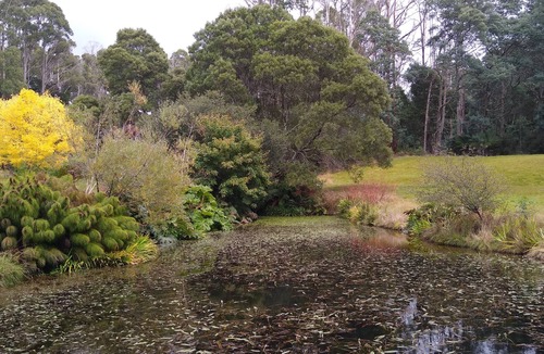 Branxholm Apartment | The Gardener's Cottage on Warrentinna