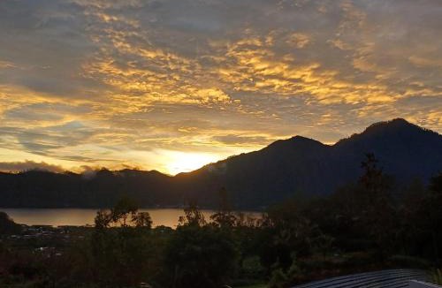 Toya Bungkah Bed & Breakfast | The Jungle Sunrise Private Room and Jacuzzi