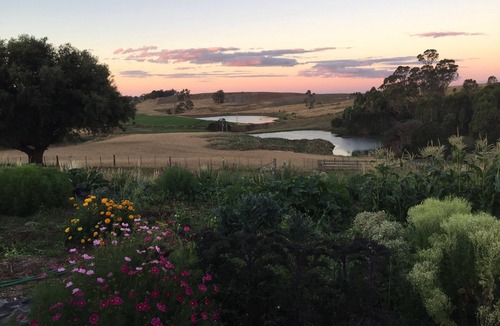 Sassafras Apartment | The Studio at historic farm - Farm stay in Sassafras, Australiann