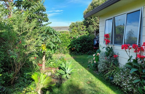 Tauranga House | Tidy and cozy cottage with private tropical garden 10 mins to Mount Maunganui