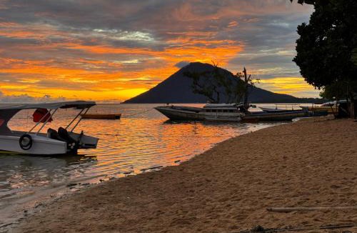 Bunaken House | Tiger fish homestay