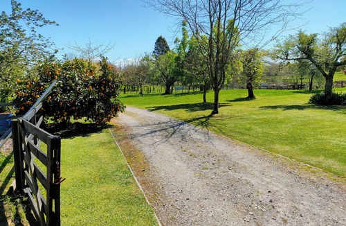 Tikitere Apartment | Tikitere Treasure - Peace, serenity and plenty of birdsong. nStudio unit.