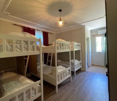 Durres Hostel | Top view hostel