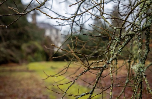 Kemnay House | Traditional & Homely 2BD Cottage in Kemnay