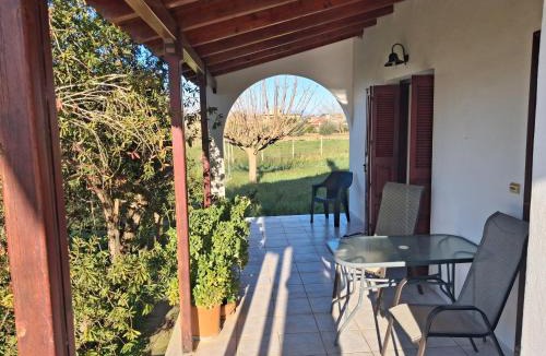Pineios House | tragano