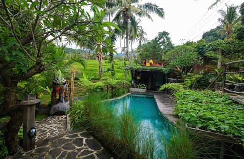 Sukasada Villa | Tranquil, 4 Bedroom Villa with Rice Terrace View