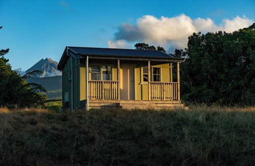 Kaitake Cabin | Tree Fuchsia Cabin