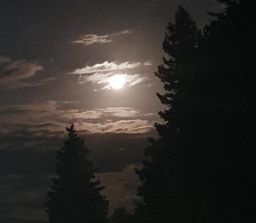 Tripi House | Tripi village