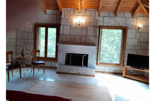 Vatsounia Apartment | Tsarouxi village 1